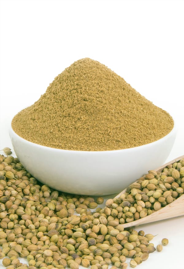 Coriander Powder